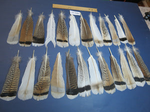 24 Pcs Natural Turkey Tail Feathers, Fly Tying Materials, Genuine Feathers (MIX-52)