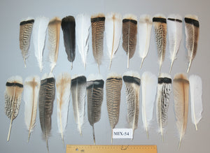 24 Pcs Natural Turkey Tail Feathers, Fly Tying Materials, Genuine Feathers (MIX-54)