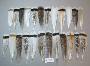 24 Pcs Natural Turkey Tail Feathers, Fly Tying Materials, Genuine Feathers (MIX-55)