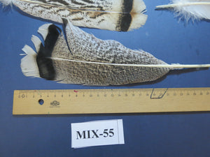 24 Pcs Natural Turkey Tail Feathers, Fly Tying Materials, Genuine Feathers (MIX-55)