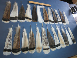 24 Pcs Natural Turkey Tail Feathers, Fly Tying Materials, Genuine Feathers (MIX-57)
