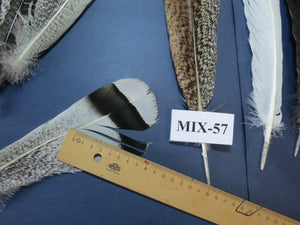 24 Pcs Natural Turkey Tail Feathers, Fly Tying Materials, Genuine Feathers (MIX-57)