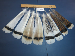 4 Pairs Of Turkey Feathers, Tail Feathers, Fly Tying Materials, Genuine Feathers (AMZ-237)