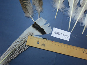4 Pairs Of Turkey Feathers, Tail Feathers, Fly Tying Materials, Genuine Feathers (AMZ-237)