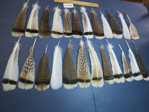 24 Pcs Natural Turkey Tail Feathers, Fly Tying Materials, Genuine Feathers (MIX-59)