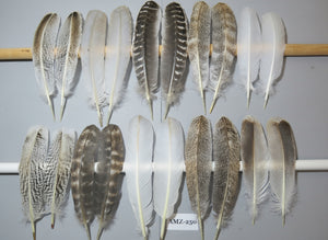 10 Pairs Turkey Wing Feathers, Amazing Feathers, Fly Tying Materials,Craft Tools (AMZ-250)