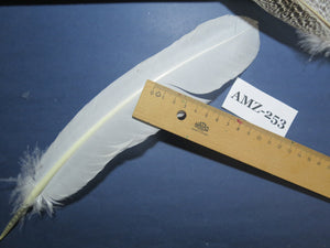 10 Pairs Turkey Wing Feathers, Amazing Feathers, Fly Tying Materials,Craft Tools (AMZ-253)