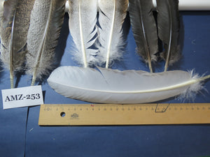 10 Pairs Turkey Wing Feathers, Amazing Feathers, Fly Tying Materials,Craft Tools (AMZ-253)