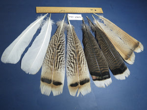 4 Pairs Of Turkey Feathers, Tail Feathers, Fly Tying Materials, Genuine Feathers (AMZ-261)