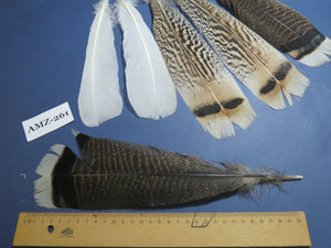 4 Pairs Of Turkey Feathers, Tail Feathers, Fly Tying Materials, Genuine FeathersTurkey Feathers (AMZ-261)