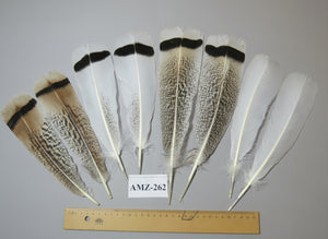 4 Pairs Of Turkey Feathers, Tail Feathers, Fly Tying Materials, Genuine Feathers (AMZ-262)