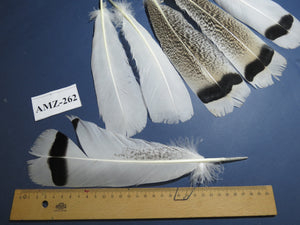 4 Pairs Of Turkey Feathers, Tail Feathers, Fly Tying Materials, Genuine Feathers (AMZ-262)