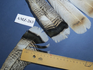 4 Pairs Of Turkey Feathers, Tail Feathers, Fly Tying Materials, Genuine Feathers (AMZ-263)