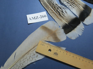 4 Pairs Of Turkey Feathers, Tail Feathers, Fly Tying Materials, Genuine Feathers (AMZ-266)