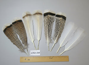 4 Pairs Of Turkey Feathers, Tail Feathers, Fly Tying Materials, Genuine Feathers (AMZ-268) DREAMMYFEATHERS