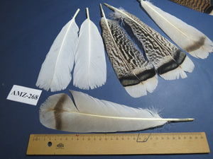 4 Pairs Of Turkey Feathers, Tail Feathers, Fly Tying Materials, Genuine Feathers (AMZ-268)