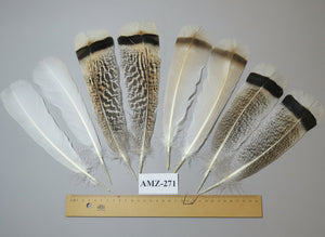 4 Pairs Of Turkey Feathers, Tail Feathers, Fly Tying Materials, Genuine Feathers (AMZ-271) DREAMMYFEATHERS