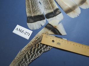 4 Pairs Of Turkey Feathers, Tail Feathers, Fly Tying Materials, Genuine Feathers (AMZ-271) DREAMMYFEATHERS