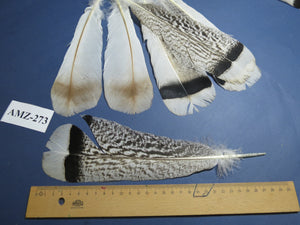 4 Pairs Of Turkey Feathers, Tail Feathers, Fly Tying Materials, Genuine Feathers (AMZ-273)