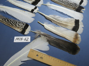 24 Pcs Natural Turkey Tail Feathers, Fly Tying Materials, Genuine Feathers (MIX-62)