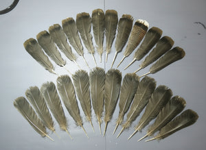 24 Pcs Black Turkey Tail Feathers, Fly Tying Materials,Rare Feathers (1502)