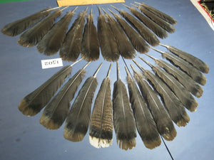 24 Pcs Black Turkey Tail Feathers, Fly Tying Materials,Rare Feathers (1502)