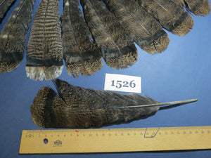 18 Pcs Brown Turkey Tail Feathers, Fly Tying Materials,Long Feathers. (1526)