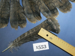 14 Pcs Brown Turkey Tail Feathers, Fly Tying Materials,Rare Feathers (1553)