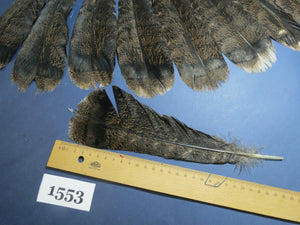 14 Pcs Brown Turkey Tail Feathers, Fly Tying Materials,Rare Feathers (1553)