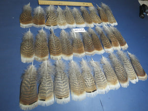 30 Pcs Natural Turkey Pre-Tail Feathers, Fly Tying Materials,Small Tails PTN-246