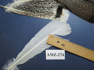 8 Pairs Turkey Feathers, Tail Feathers, Fly Tying Materials, Natural Feathers (AMZ-274)
