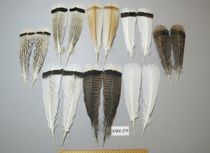 8 Pairs Turkey Feathers, Tail Feathers, Fly Tying Materials, Natural Feathers (AZM-275)