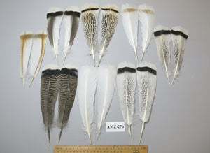 8 Pairs Turkey Feathers, Tail Feathers, Fly Tying Materials, Natural Feathers (AMZ-276)