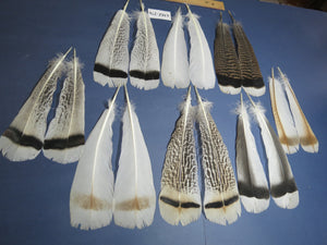 8 Pairs Turkey Feathers, Tail Feathers, Fly Tying Materials, Natural Feathers (AMZ-276)