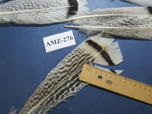 8 Pairs Turkey Feathers, Tail Feathers, Fly Tying Materials, Natural Feathers (AMZ-276)