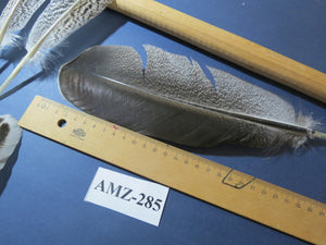 10 Pairs Turkey Wing Feathers, Amazing Feathers, Fly Tying Materials,(AMZ-285)