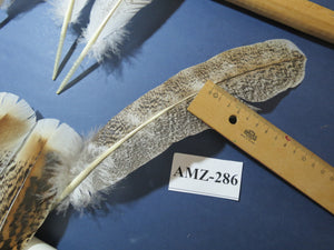 10 Pairs Turkey Wing Feathers, Amazing Feathers, Fly Tying Materials,(AMZ-286)