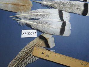 8 Pairs Turkey Feathers, Tail Feathers, Fly Tying Materials, Natural Feathers (AMZ-292)