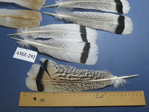 8 Pairs Turkey Feathers, Tail Feathers, Fly Tying Materials, Natural Feathers (AMZ-292)