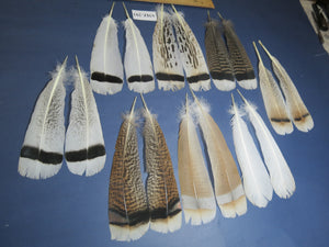 8 Pairs Turkey Feathers, Tail Feathers, Fly Tying Materials, Natural Feathers (AMZ-293)