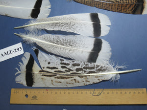 8 Pairs Turkey Feathers, Tail Feathers, Fly Tying Materials, Natural Feathers (AMZ-293)