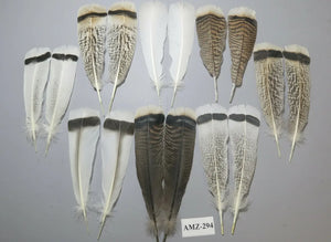 8 Pairs Turkey Feathers, Tail Feathers, Fly Tying Materials, Natural Feathers (AMZ-294) DREAMMYFEATHERS