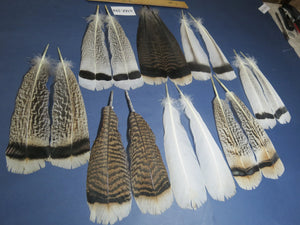 8 Pairs Turkey Feathers, Tail Feathers, Fly Tying Materials, Natural Feathers (AMZ-294) DREAMMYFEATHERS