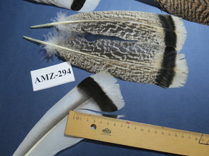 8 Pairs Turkey Feathers, Tail Feathers, Fly Tying Materials, Natural Feathers (AMZ-294)