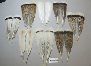 8 Pairs Turkey Feathers, Tail Feathers, Fly Tying Materials, Natural Feathers (AMZ-295) DREAMMYFEATHERS