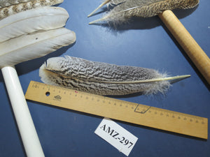 10 Pairs Turkey Wing Feathers, Amazing Feathers, Fly Tying Materials,(AMZ-297)