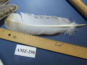10 Pairs Turkey Wing Feathers, Amazing Feathers, Fly Tying Materials,(AMZ-298)