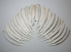 22 Pcs Lilac Natural Turkey Wing Feathers, Fly Tying Materials, (1659)