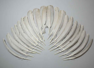 22 Pcs Lilac Natural Turkey Wing Feathers, Fly Tying Materials, (1659)