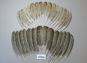 32 Pcs Natural Turkey Wing Feathers, Fly Tying Materials, Long Feathers. (1694)